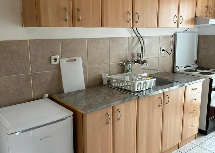 公寓 Lenka 皮罗特